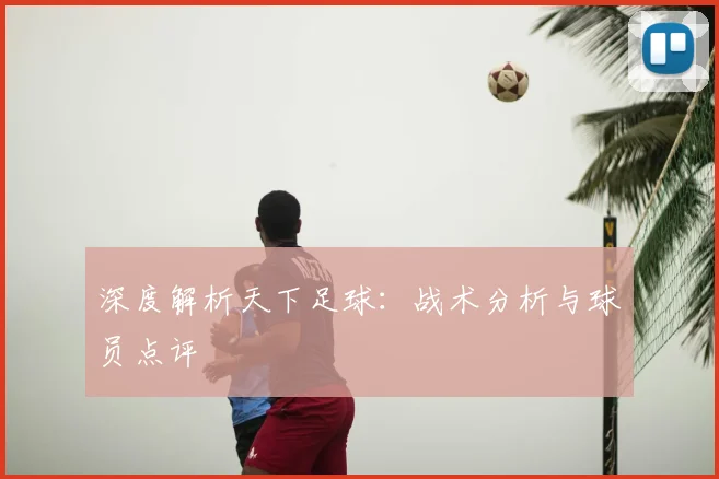 深度解析天下足球：战术分析与球员点评